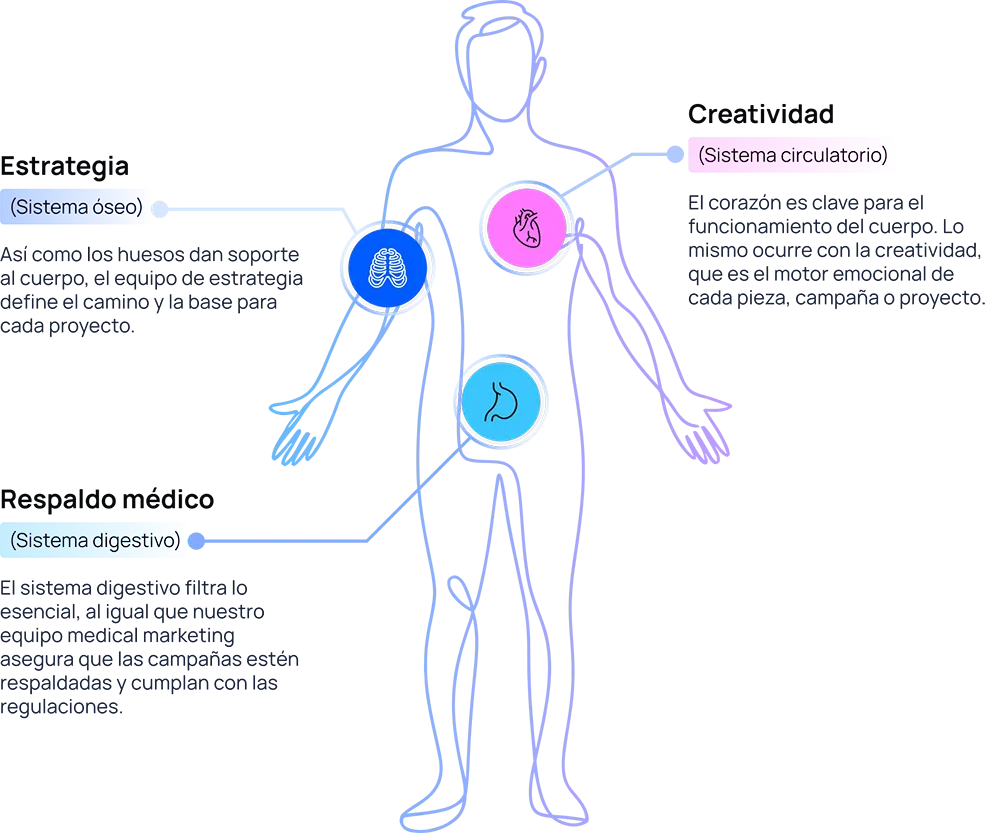 cuerpo humano